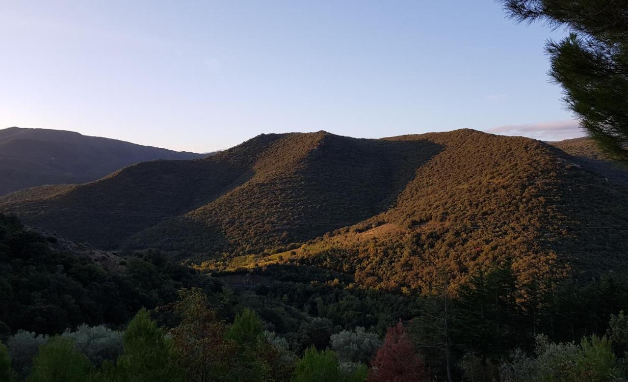 Gites-Terroirs-Occitanie Grenache Felluns Экстерьер фото